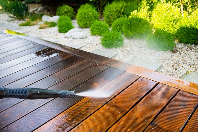 Garden Clearance South Norwood, SE25